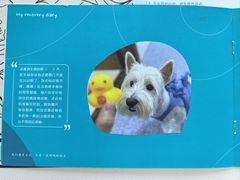 -美联众合动物医院·24h转诊中心