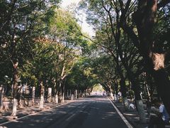 -八大关景区