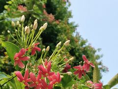 -陈李济中药博物馆