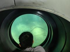 -白鹤梁水下博物馆