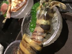 -半岛翡丽海鲜自助餐厅(观风亭店)