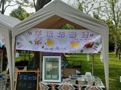 -渤公岛生态公园
