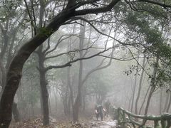 -梧桐山风景名胜区