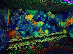 -成都梵高星空艺术馆(春熙路旗舰店)