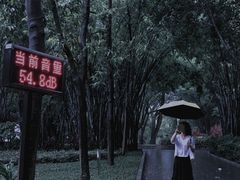 -晓港公园