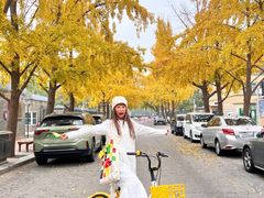 -三里屯东五街银杏大道
