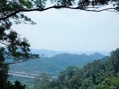 -东莞市大岭山森林公园