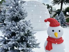 -汕头中海黄金海岸水上乐园