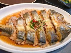 -创味·民间海南菜·非遗藤桥排骨(藤桥·免税城店)