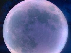 -天津梵高星空艺术馆(天河城旗舰店)