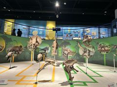 -国家自然博物馆