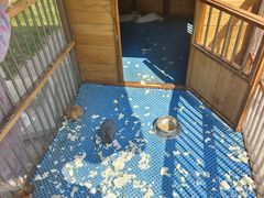 -青岛鑫江温德姆酒店