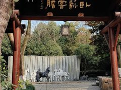 -白马涧龙池景区