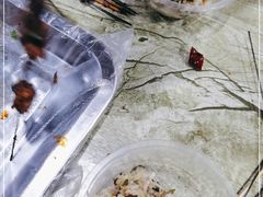 -杨婆婆烤肉(文昌阁店)