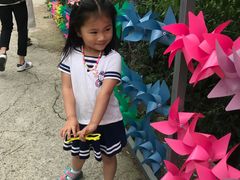 -大塘金香草谷