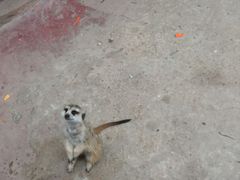 -长鹿旅游休博园
