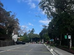 -广州市流溪河国家森林公园
