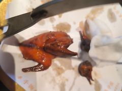 -鸽子侯·家宴·平价海鲜(绿地店)
