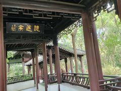 -上海佘山国家森林公园天马山园