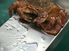-盒马鲜生(宝地店)