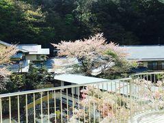 -月光园游月山庄