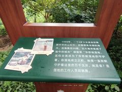 -华侨城湿地公园