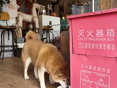-小时光咖啡馆(开森度假森林店)