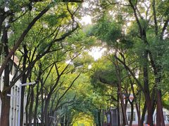 -四川大学(望江校区)