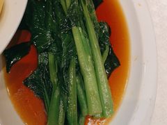 -胡杨记忆(和平路店)