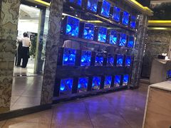 -YOYO悠游美食地图(西市城购物中心店)