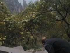 android_upload_pic-神农山景区