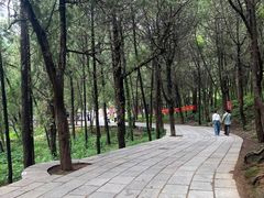 -泰山风景名胜区-普照寺