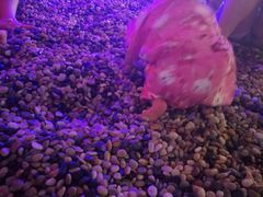 -极乐汇汗蒸会馆(杭州店)