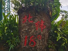 -呀诺达热带雨林