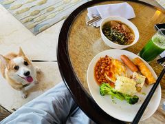 -上海崇明金茂凯悦酒店