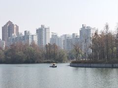 -大宁公园