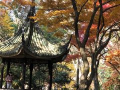 -苏州大学(天赐庄校区)