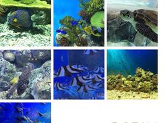 -福州罗源湾海洋世界旅游区