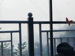 -巴倒烫陆派火锅山庄(南山总店)