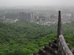 -杭州半山国家森林公园