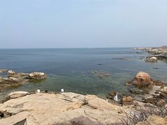 -养马岛旅游度假区