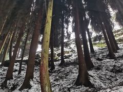 -九峰山