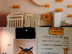 -喵匠猫主题咖啡(凯德和平广场店)