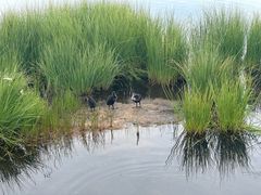 -花湖生态旅游区