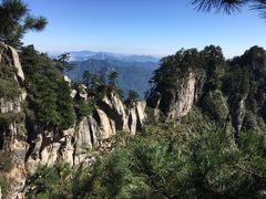 -内乡宝天曼生态旅游区