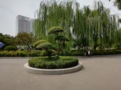 景点-紫荆山公园