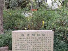 -上海方塔园