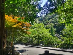 -天明山温泉大酒店