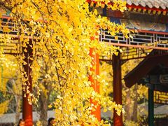 -中山公园