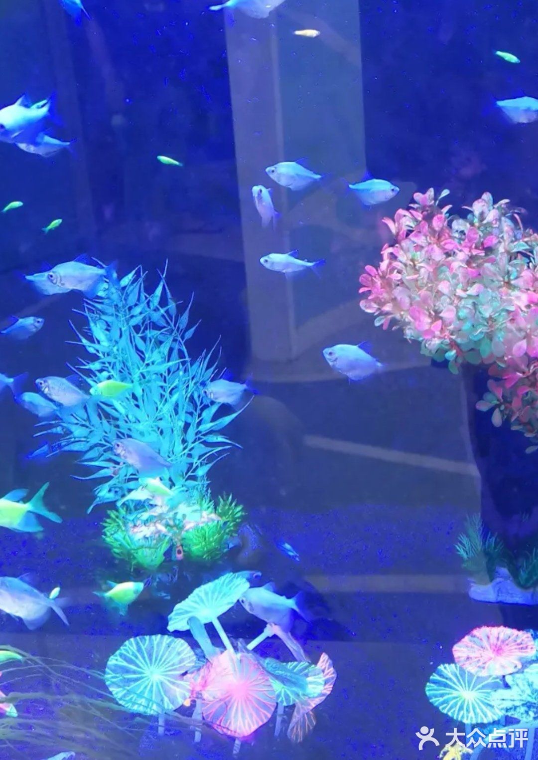 听说夏天遛娃和海洋馆更配哦！